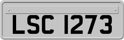 LSC1273