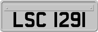 LSC1291