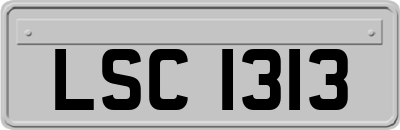 LSC1313