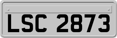LSC2873