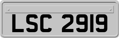 LSC2919