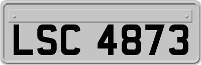 LSC4873
