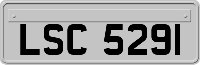 LSC5291