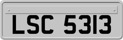 LSC5313