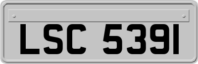 LSC5391