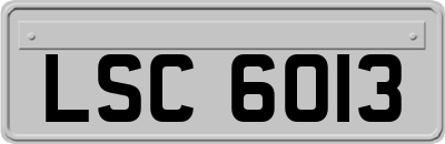 LSC6013