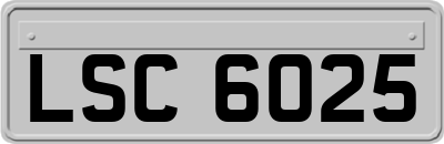 LSC6025