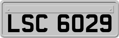 LSC6029