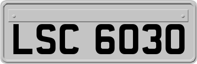 LSC6030