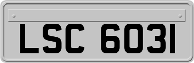 LSC6031