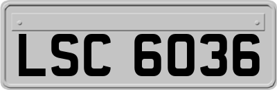 LSC6036