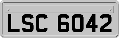 LSC6042
