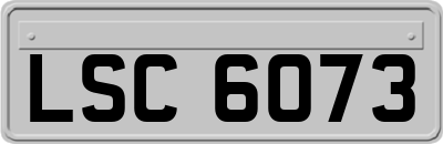 LSC6073