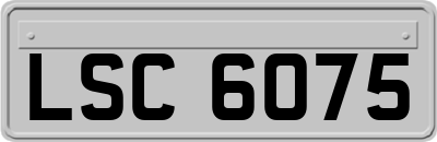 LSC6075