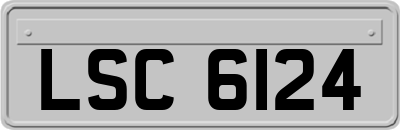 LSC6124