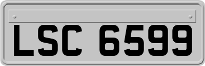 LSC6599