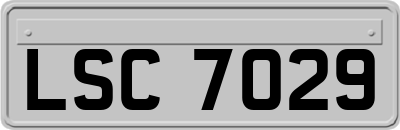 LSC7029