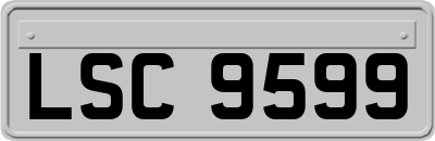 LSC9599