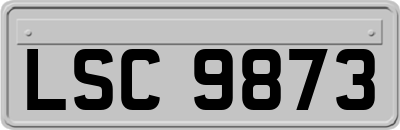 LSC9873