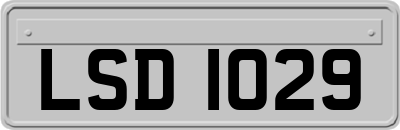 LSD1029