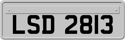 LSD2813