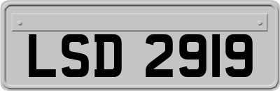 LSD2919