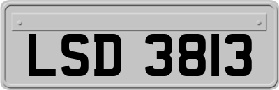 LSD3813