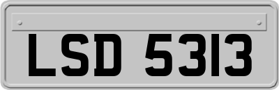 LSD5313
