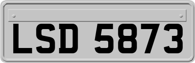 LSD5873