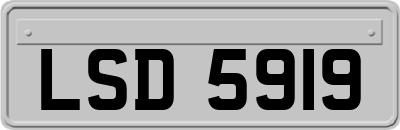 LSD5919