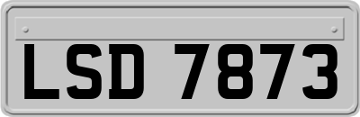 LSD7873