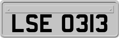 LSE0313