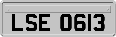 LSE0613