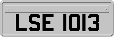 LSE1013