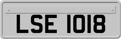 LSE1018