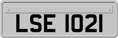 LSE1021