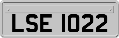 LSE1022