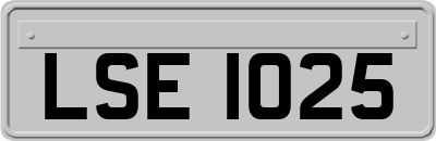 LSE1025