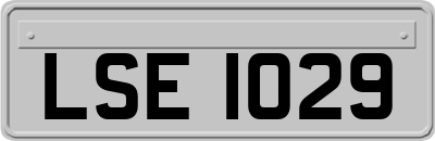 LSE1029