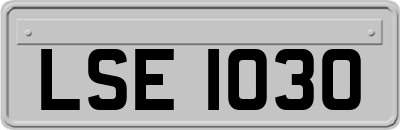 LSE1030