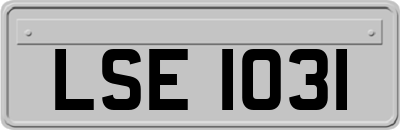 LSE1031