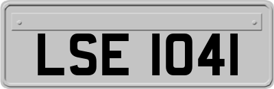 LSE1041