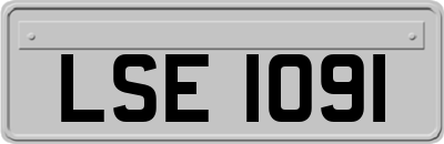 LSE1091