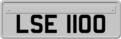 LSE1100
