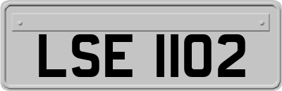 LSE1102