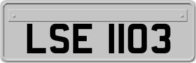 LSE1103