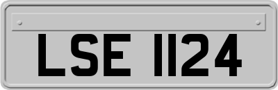LSE1124