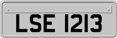 LSE1213