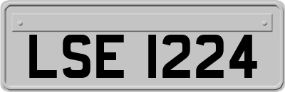 LSE1224