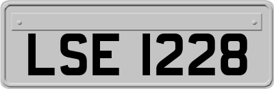 LSE1228